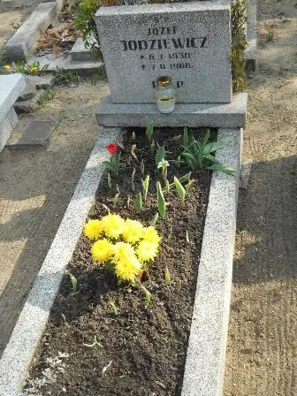 Zdjęcie grobu 9/100