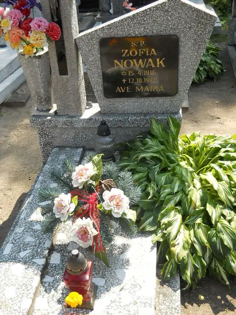 Zdjęcie grobu 14/27497