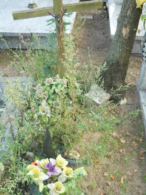 Zdjęcie grobu 14/26882