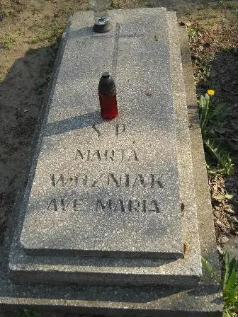 Zdjęcie grobu 9a/117