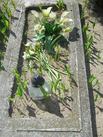 Zdjęcie grobu 30/67