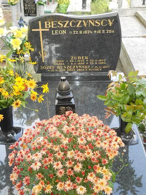 Zdjęcie grobu B/25588