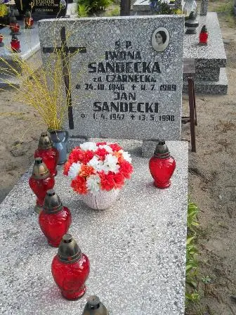 Zdjęcie grobu 46/100