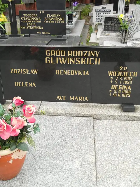 Zdjęcie grobu 7/11019