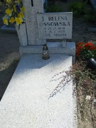 Zdjęcie grobu 46/160