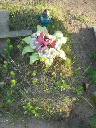 Zdjęcie grobu 7b/100