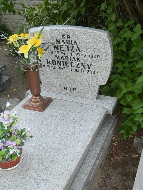 Zdjęcie grobu 13/12196