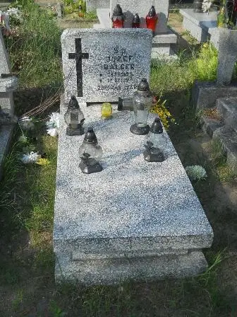 Zdjęcie grobu 42/100