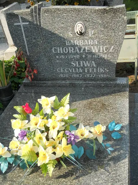 Zdjęcie grobu B/25627