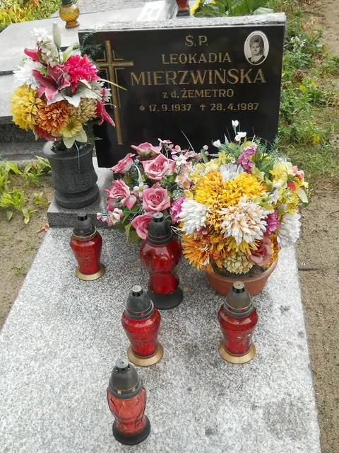 Zdjęcie grobu 15/26518