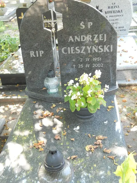 Zdjęcie grobu 14/27217