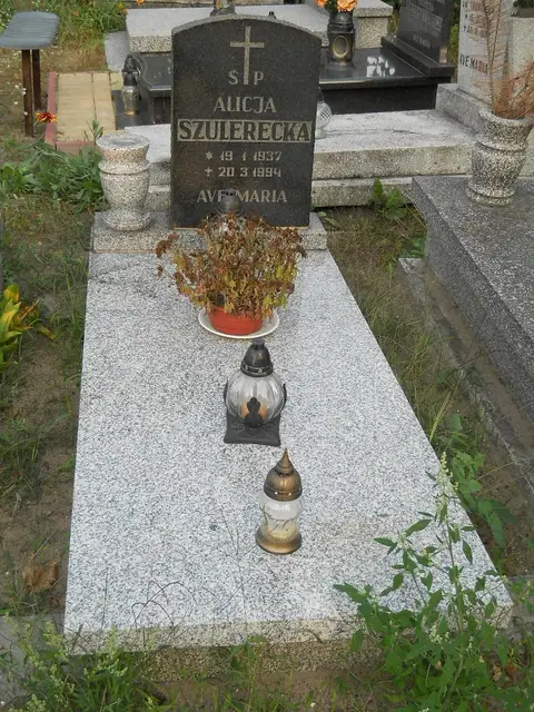 Zdjęcie grobu 14/28951