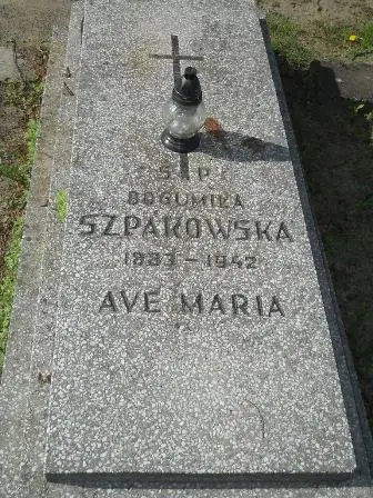 Zdjęcie grobu 20/100