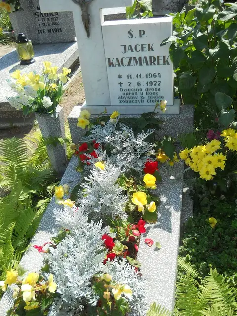 Zdjęcie grobu 14/27506