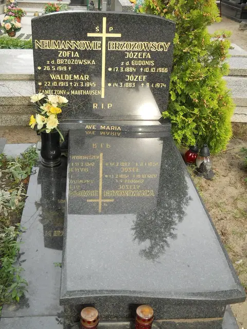 Zdjęcie grobu A/24650
