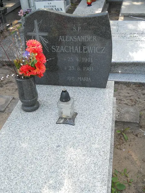 Zdjęcie grobu 8/10441
