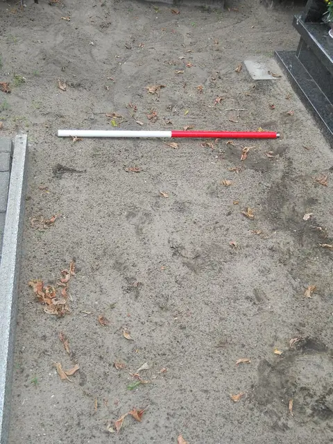 Zdjęcie grobu 13/29699