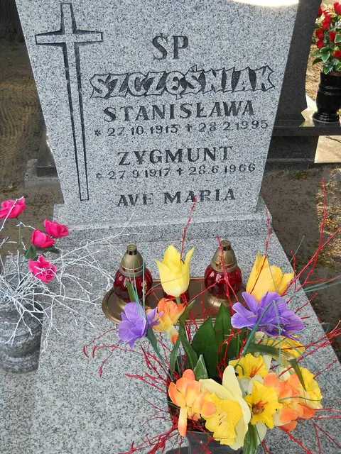 Zdjęcie grobu 8/10734