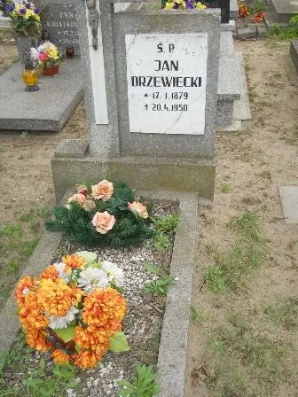 Zdjęcie grobu 22/100