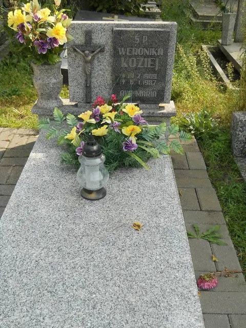 Zdjęcie grobu 15/26485