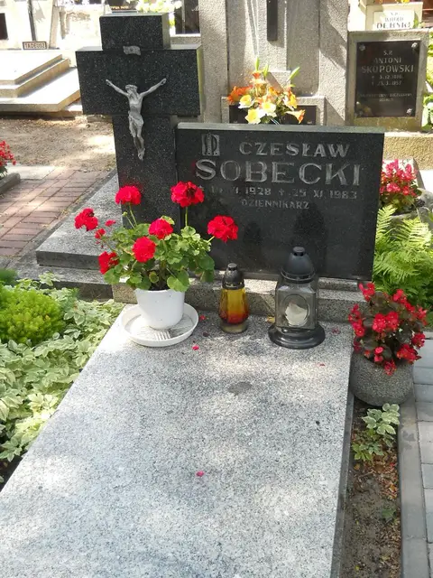 Zdjęcie grobu 6/24256