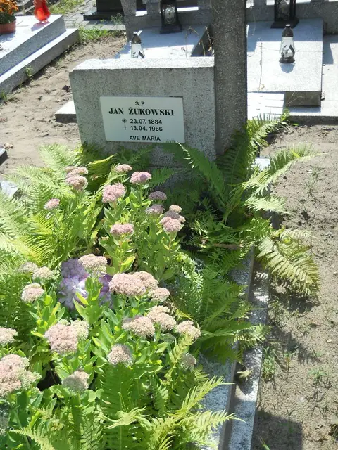 Zdjęcie grobu 18/28293
