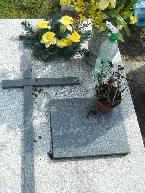 Zdjęcie grobu 27/22993