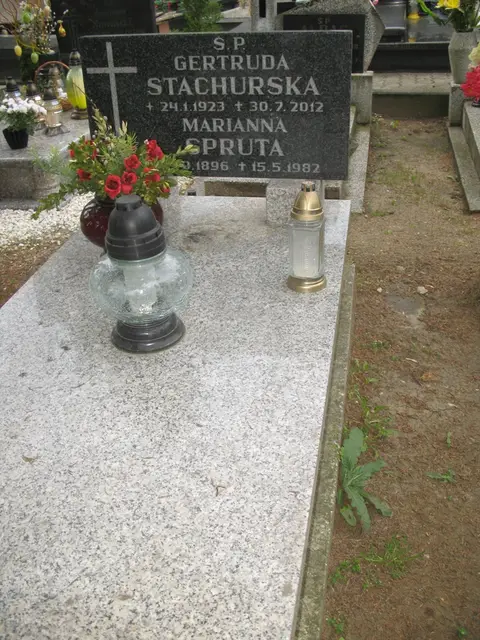 Zdjęcie grobu 7/10986