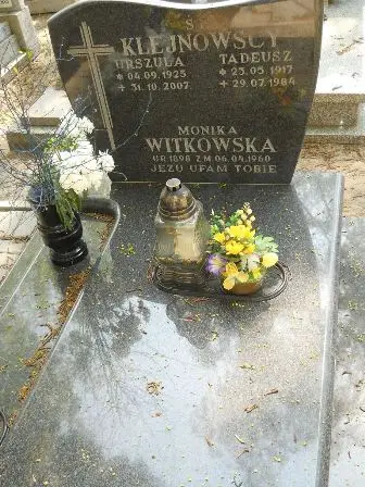 Zdjęcie grobu 30/230,231