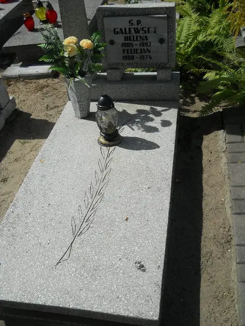 Zdjęcie grobu 6/24363