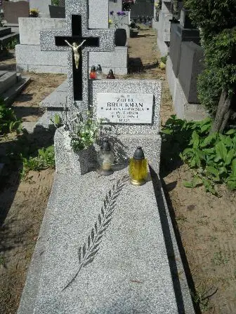 Zdjęcie grobu 28/100