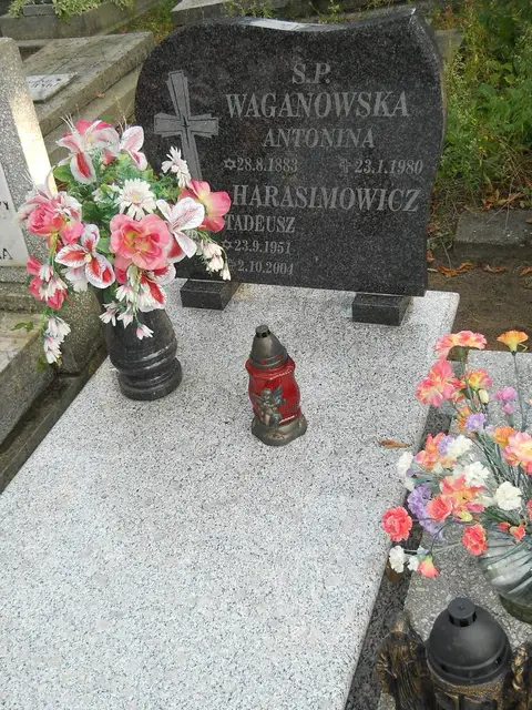 Zdjęcie grobu 15/26638
