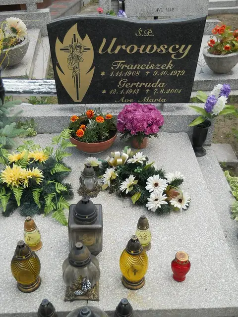 Zdjęcie grobu 7/11529