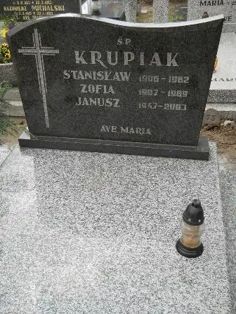 Zdjęcie grobu 43/108,109