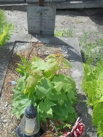 Zdjęcie grobu 20/491