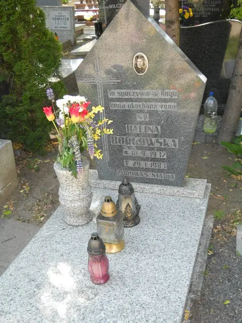 Zdjęcie grobu 7/11919