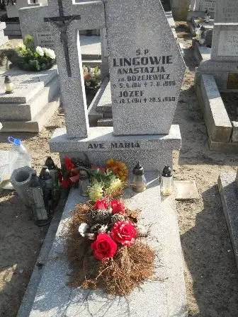 Zdjęcie grobu 5/28