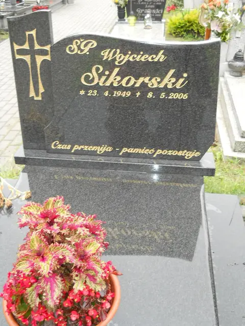 Zdjęcie grobu 5/22447