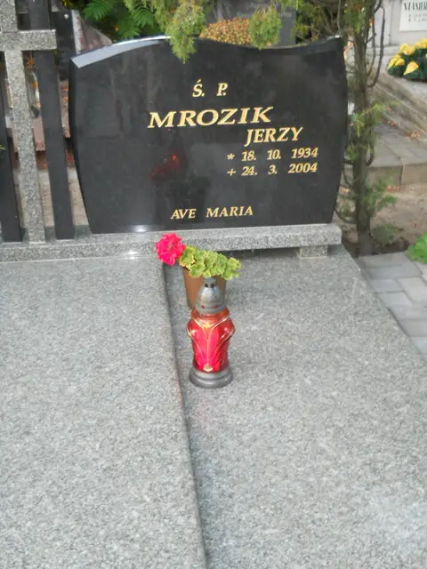 Zdjęcie grobu 14/27933