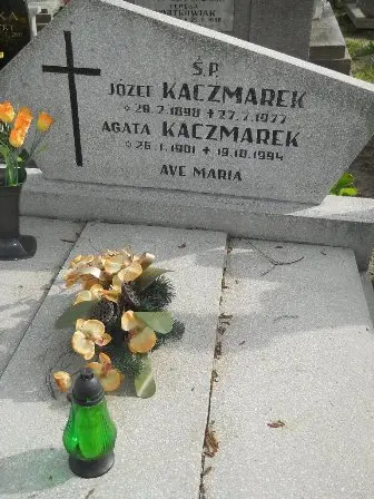 Zdjęcie grobu 22/100