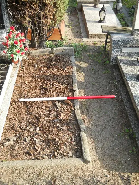 Zdjęcie grobu A/24811