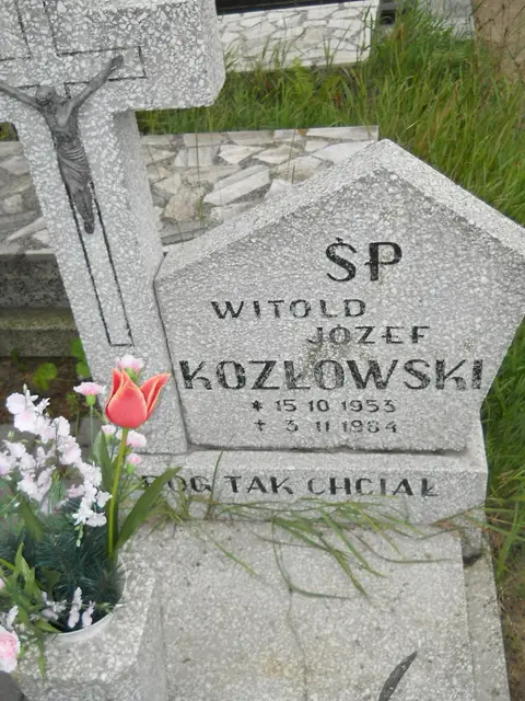 Zdjęcie grobu 26/23186