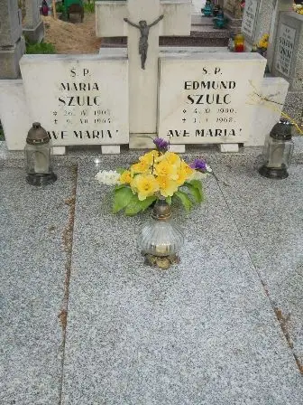 Zdjęcie grobu H/243, 244