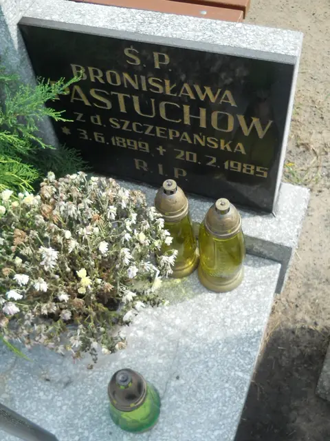 Zdjęcie grobu 26/23011