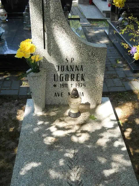 Zdjęcie grobu 8A/10322