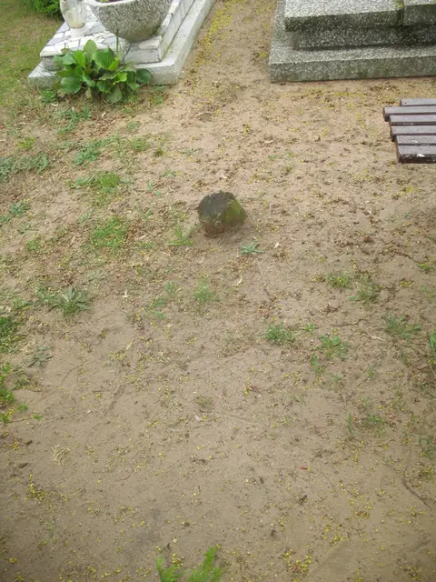 Zdjęcie grobu 8/10674