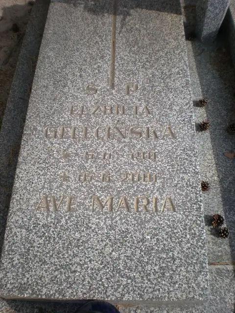 Zdjęcie grobu 8B/20129