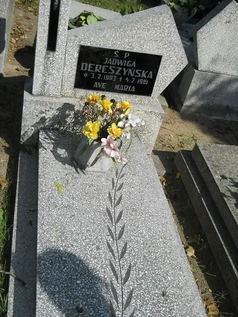 Zdjęcie grobu 18/28184