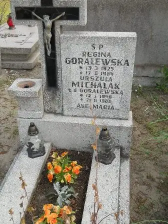 Zdjęcie grobu 23/100