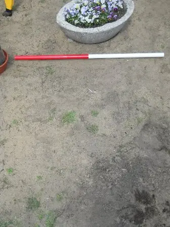 Zdjęcie grobu 43/100